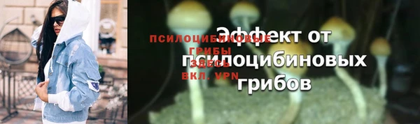 a pvp Алзамай