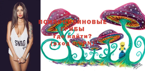 наркотики Алексин