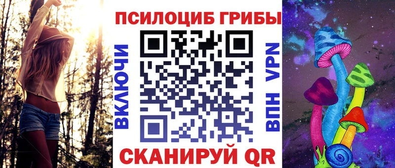 как найти наркотики  Устюжна  Псилоцибиновые грибы Psilocybe 